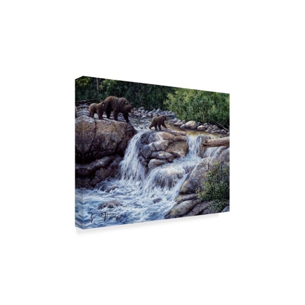 Jeff Tift 'Entiat Falls Grizzly Family' Canvas Art,35x47